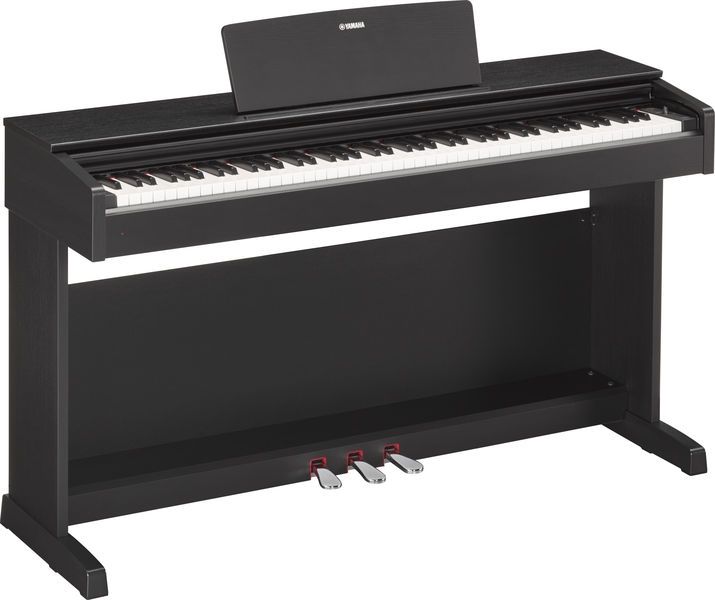 Traición Celo sin embargo Yamaha Arius YDP-143B Piano Electrónico Digital